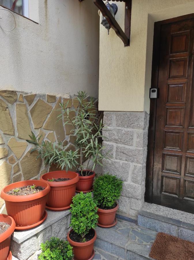 Рибарска 8 Apartman Szozopol Kültér fotó
